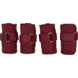 Harry s Horse Bandages Élastique Bordeaux Discount